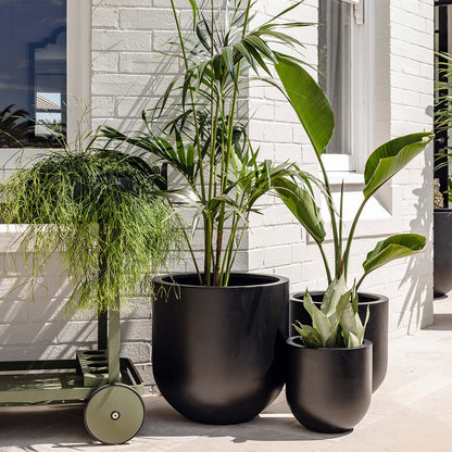 Matte dark planter set with three round pots for plants, including a tall center pot