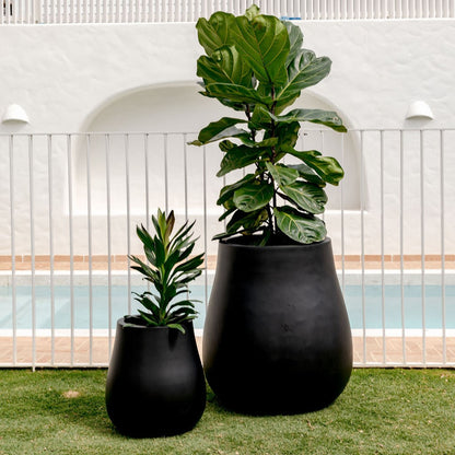 Waddle plant pots, two matte black planters with potted greenery outdoors
