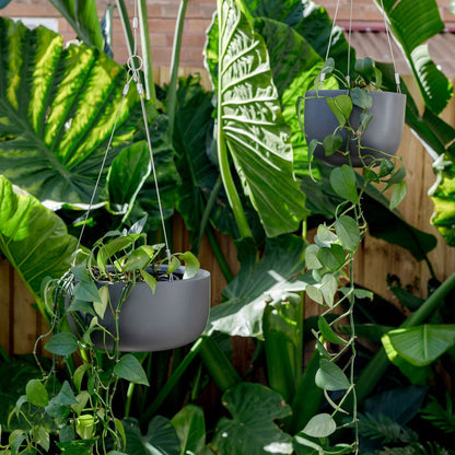 Two hanging planter pots with dark gray and white finishes