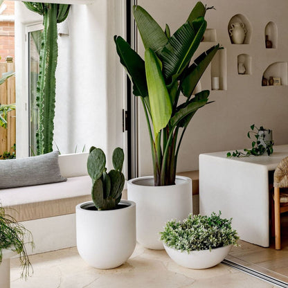 White planter set with three round pots, featuring a tall center pot for plants