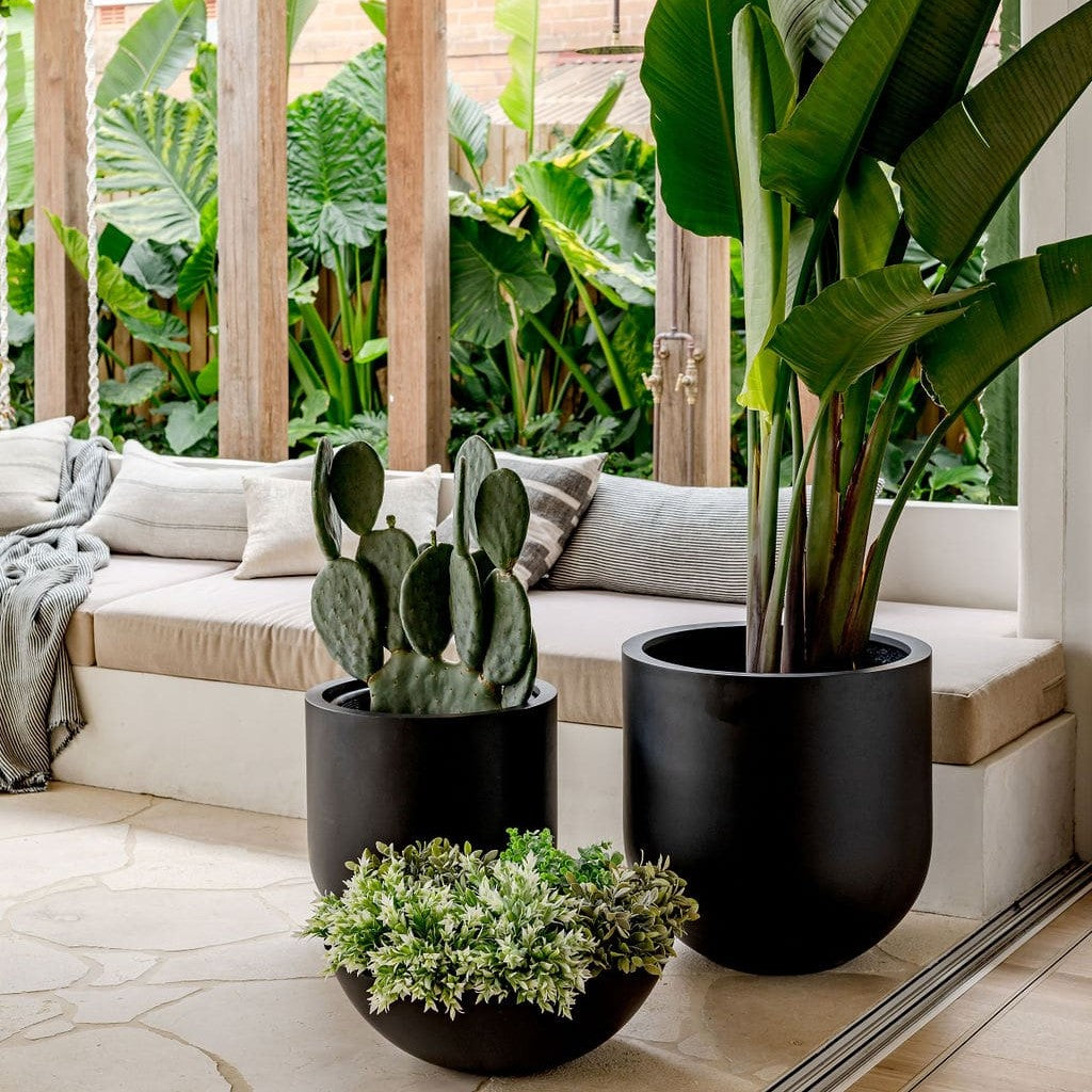 Black planter set with round pots holding succulents and large tropical leaves.