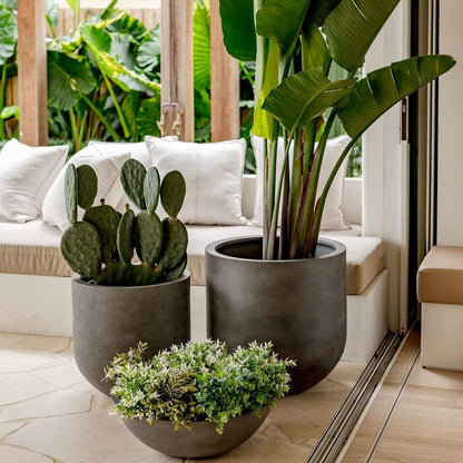 Dark gray planter set with three round pots holding a cactus and small green plant.
