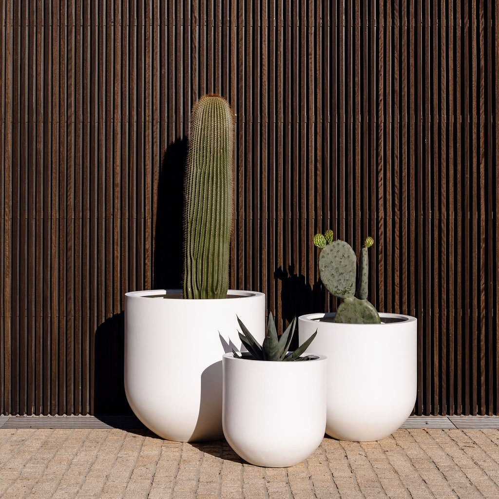 Matte white planter set with three round pots holding cacti and leafy plants.