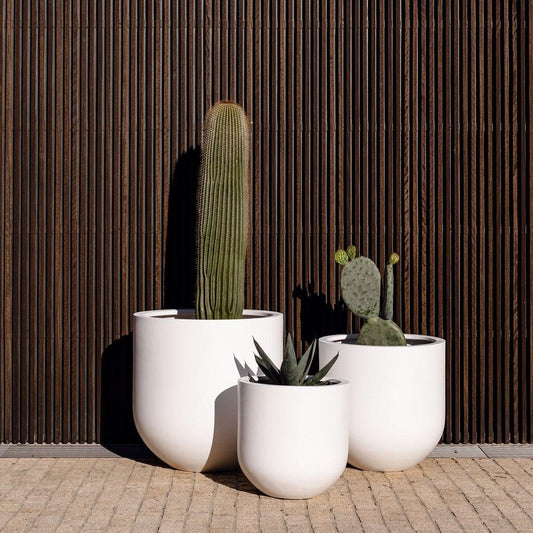 Matte white planter set with three round pots holding cacti and leafy plants.