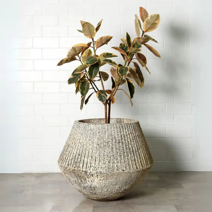 Speckled ceramic planter pot with vertical rim, supporting a leafy plant