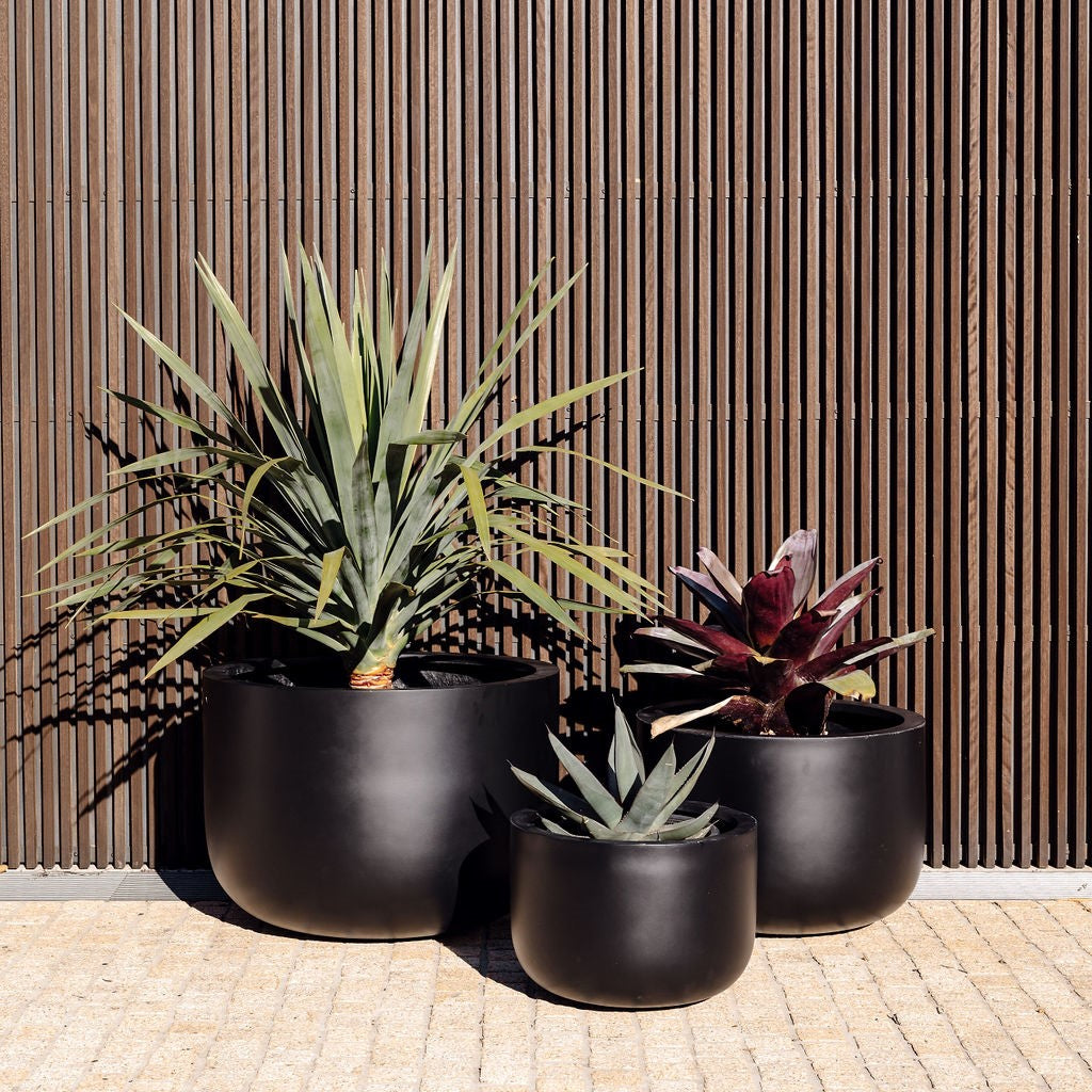 Black planter pot set of three with spiky plants and rounded bowls