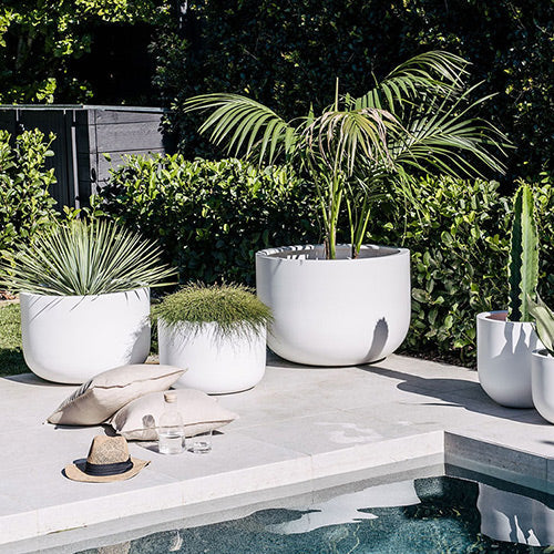 White planter pot set with multiple plants around the pool edge