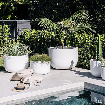 White planter pot set with multiple plants around the pool edge