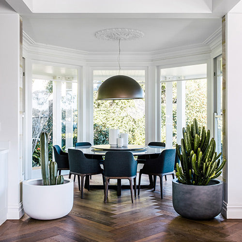 Indoor planter pots, including a white pot and dark pot with cactus
