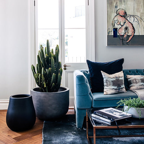 The Chop planter set in charcoal, three round pots with cactus and greenery