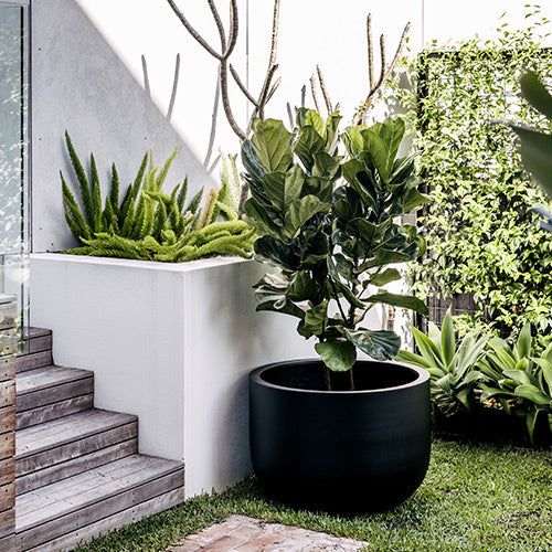 Charcoal planter pot with indoor/outdoor plants and wide black rim
