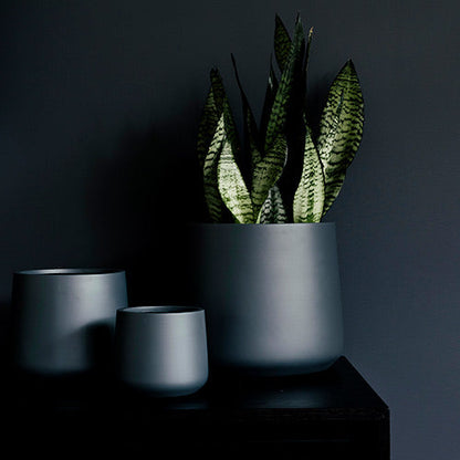 Dark grey planter pots with snake plant leaves, set of three