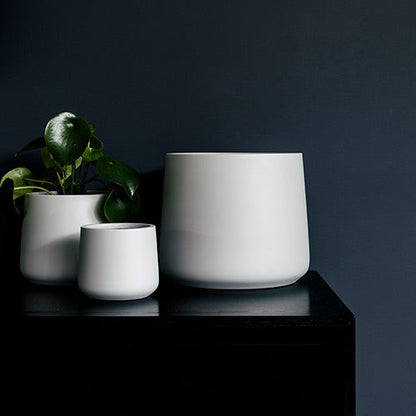 White planter pots on dark shelf, leafy plant in three containers