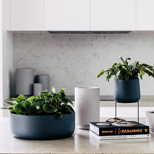 Grey and white planter pots set on kitchen counter with leafy plants