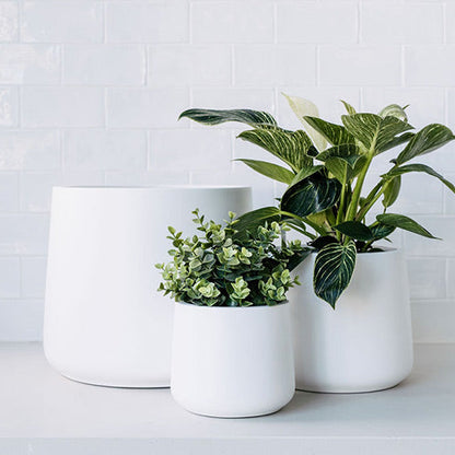 White planter pots set of three with green foliage plants