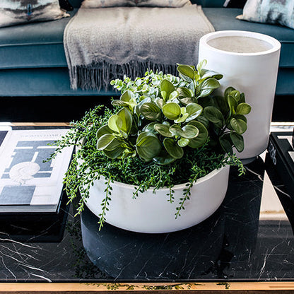 Tops Off planters with mixed green plants in a white pot on a black tabletop