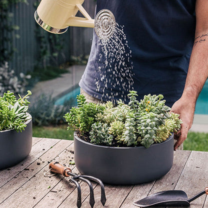 Tops Off planters: a man pours water into a grey pot with mixed succulents