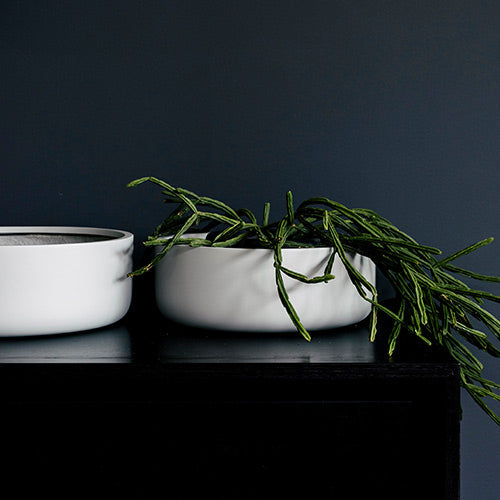 Tops Off planters with green herbs in a white pot and another white pot nearby