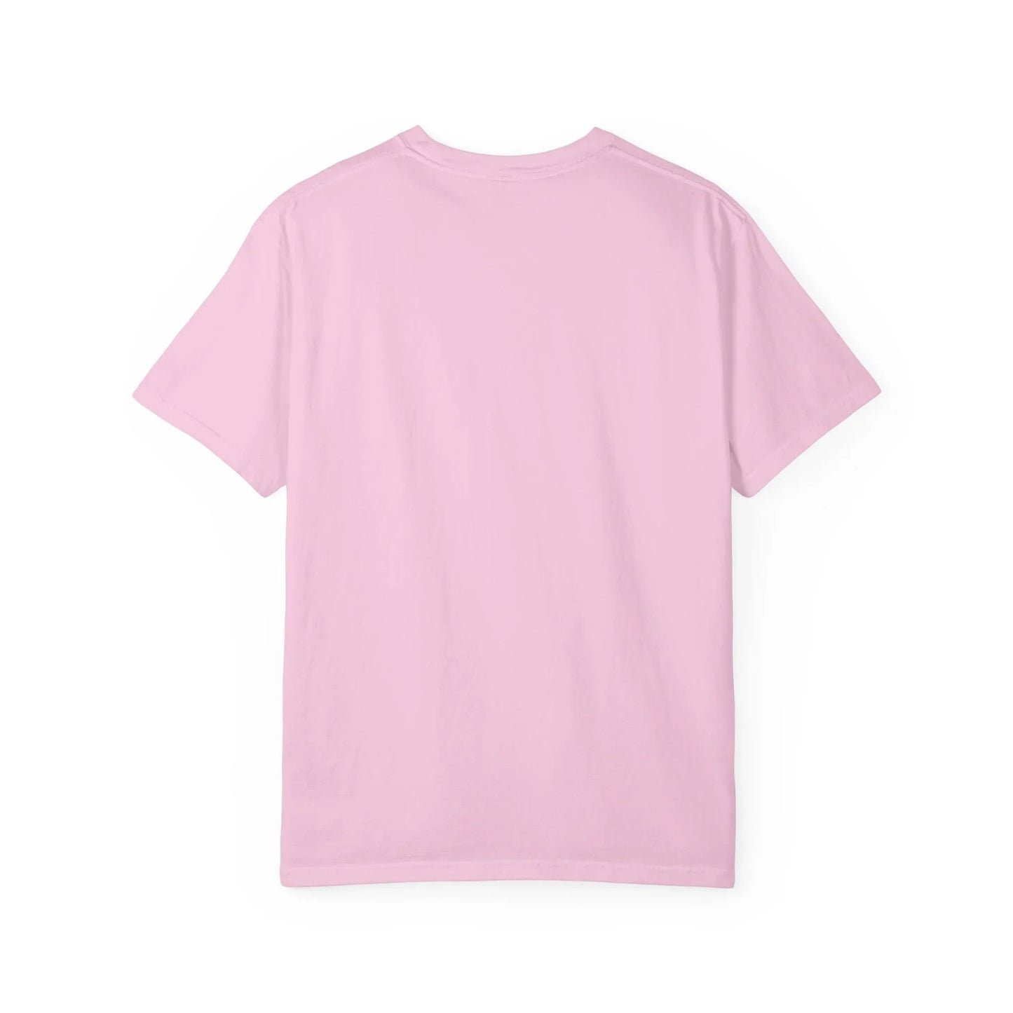 Esquie Missing Pet Rock T-Shirt | Clair Obscur Expedition 33 Game Merch | Whee Whoo Whee Whoo