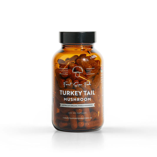 Amber bottle of turkey tail mushroom capsules with black cap