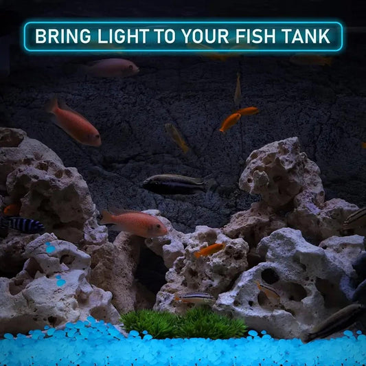 Glow-in-the-dark aquarium stones, rounded blue pebbles glowing across tank base