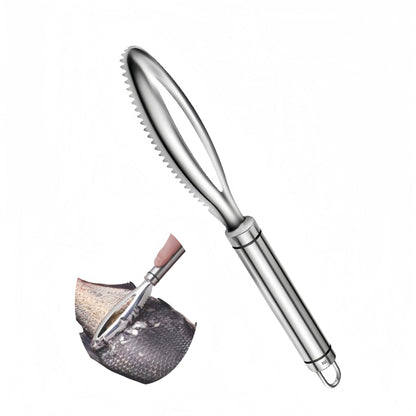 Fish Scale Remover, Stainless Steel Fish Scaler Easy Use Fish Descaler Tool,Fish Scaler Remover Lung Remover for Family Kitchen,Easy to Clean Kitchen Tool 2pcs