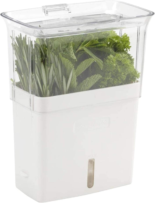 Acrylic herb storage container with clear lid holding fresh green herbs