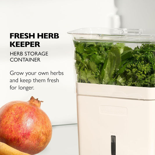 White herb storage container with clear lid filled with fresh green herbs