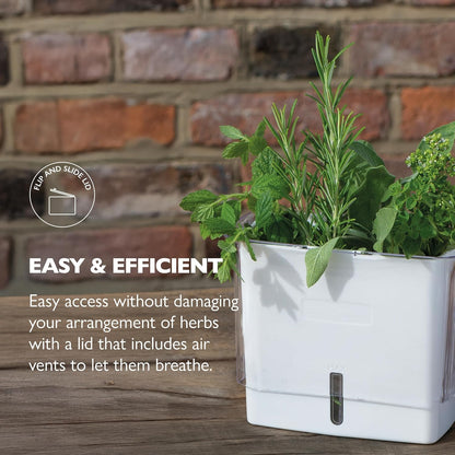Fresh Herb Keeper - Acrylic Storage Container for Refrigerator - Storage for Herbs & Vegetables for Fridge - Fresh Herb Keeper