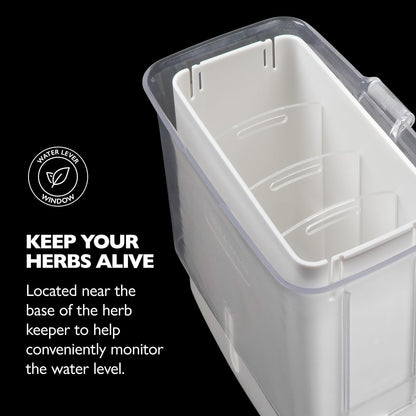 Fresh Herb Keeper - Acrylic Storage Container for Refrigerator - Storage for Herbs & Vegetables for Fridge - Fresh Herb Keeper
