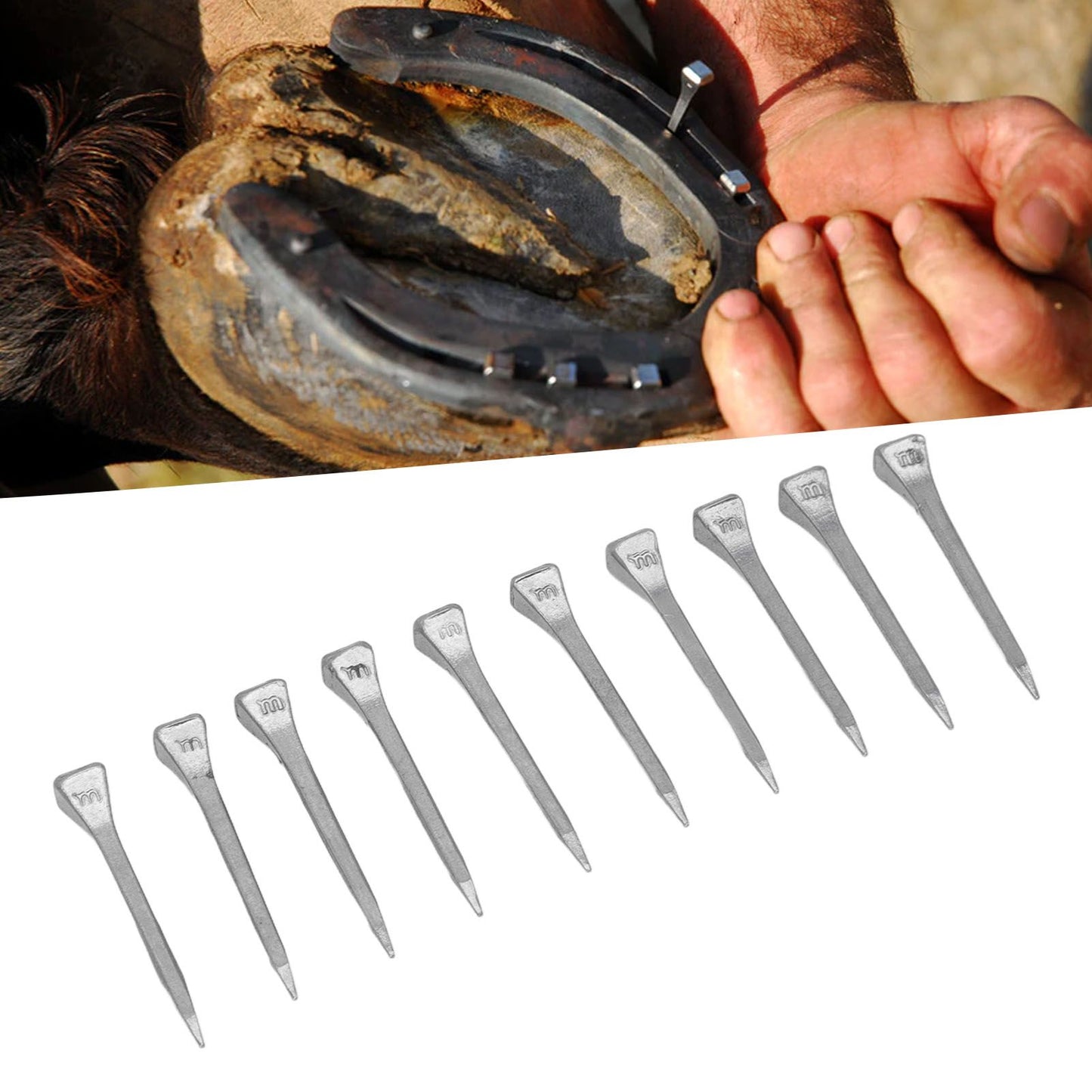 250 Pcs Horseshoe Nails High Tensile Strength Good Elasticity Accurately Crafted Steel Horse Shoes Nails FJ0RACE