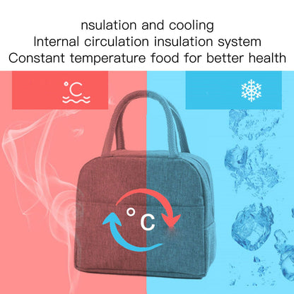 Tote Lunch Bag Reusable Insulated Cooler High Capacity Waterproof for Men Women Work Picnic Beach Gray