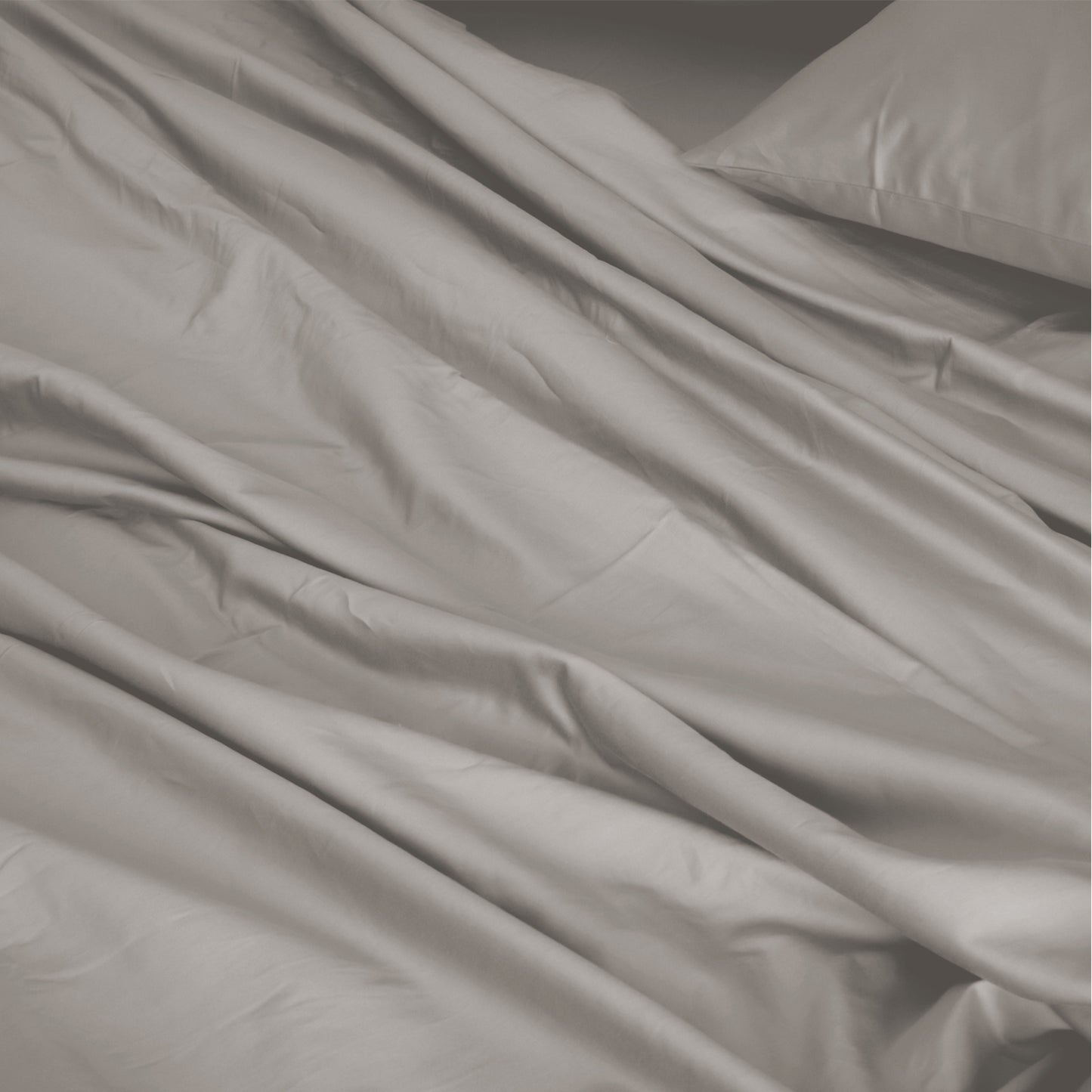 Royal Comfort 1000TC Hotel Grade Bamboo Cotton Sheets Pillowcases Set Ultrasoft - Queen - Dove