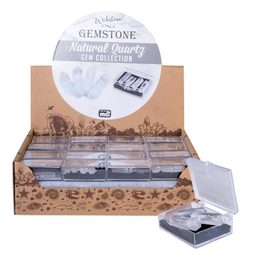 Natural quartz gemstone collection with clear crystal cluster in display case
