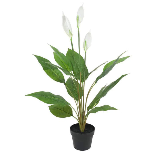 Artificial peace lily and calla lily in black pot, white blooms and green leaves
