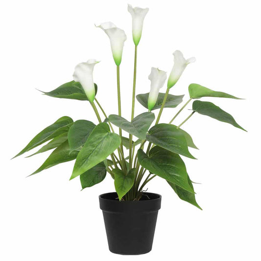 Artificial peace lily plant with white calla blooms, green leaves in black pot