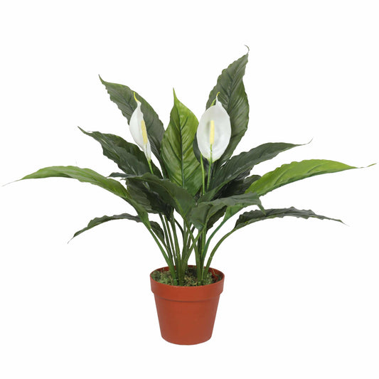 Artificial peace lily plant with two white spathes and glossy green leaves in terracotta pot