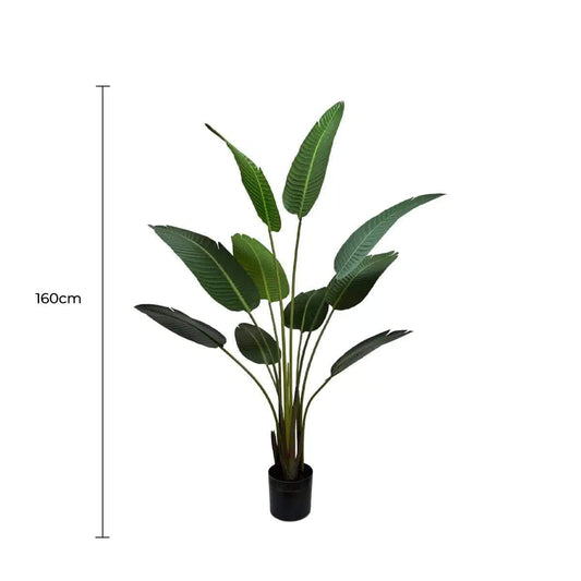 Artificial potted travelers palm with broad green leaves in a black pot