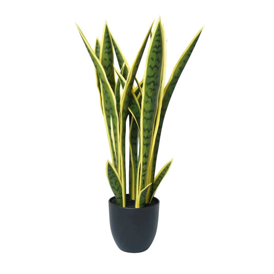 Artificial snake plant with upright striped leaves in black pot