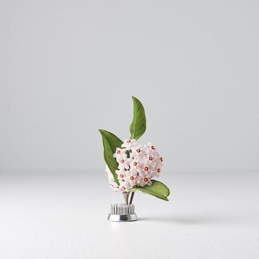 Ikebana pin base with pronged metal holder for floral stems