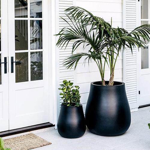 Waddle plant pots, two matte dark charcoal planters with leafy plants