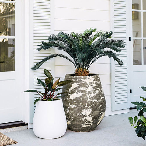 Waddle plant pots, white and concrete grey speckled planters with palm plants