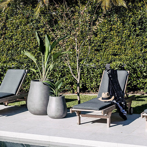 Waddle plant pots, grey large pot and smaller matching pot with patio greenery