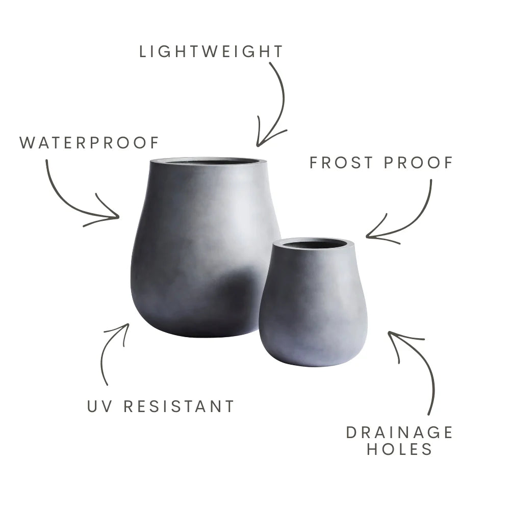 Pair of planter pots with drainage holes; lightweight, waterproof, frost proof design.