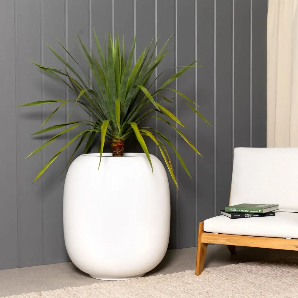 Matte white ceramic vase with open top and rounded body, styled with grass