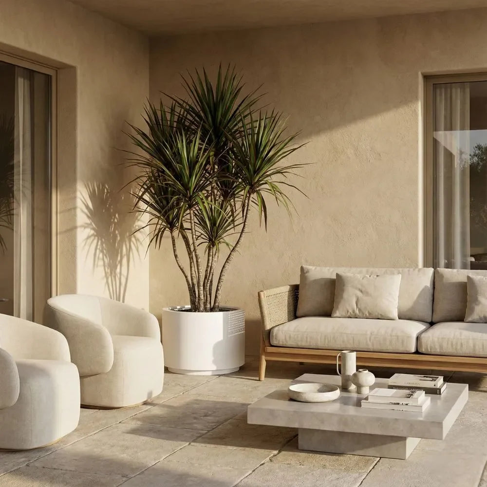 Indoor plant pot set with tall white planter and two smaller round pots