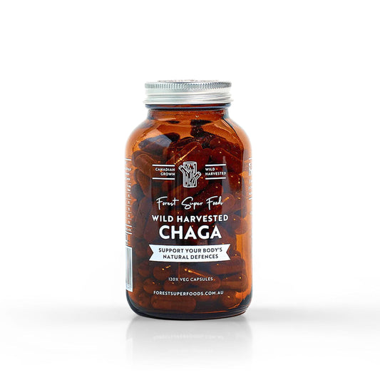 Wild chaga mushroom supplement bottle with silver cap, 120 veg capsules