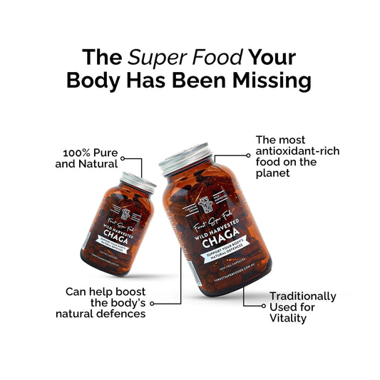 Three wild chaga mushroom supplement bottles with silver caps
