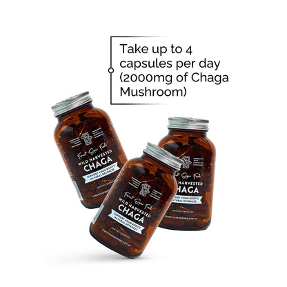 Wild Chaga Mushroom (Canada)