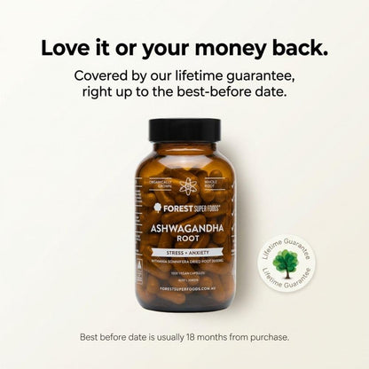 Ashwagandha root supplement bottle with black cap